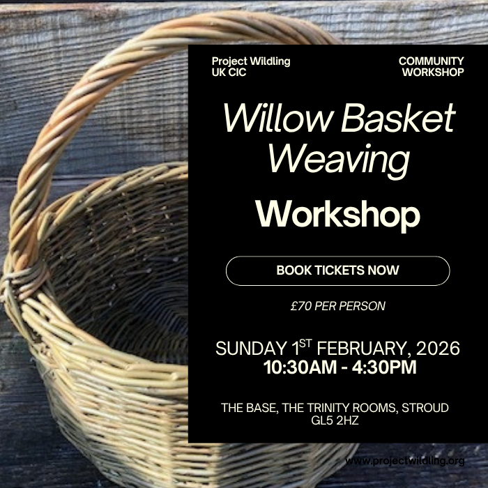 Willow basket weaving workshop Willow Basket Weaving Workshop: 1st February 2026 - Image 1